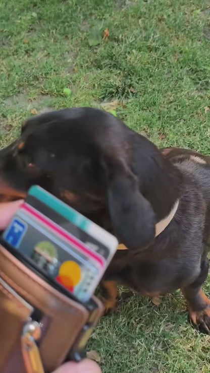 Ozerlo SlideGuard Wallet